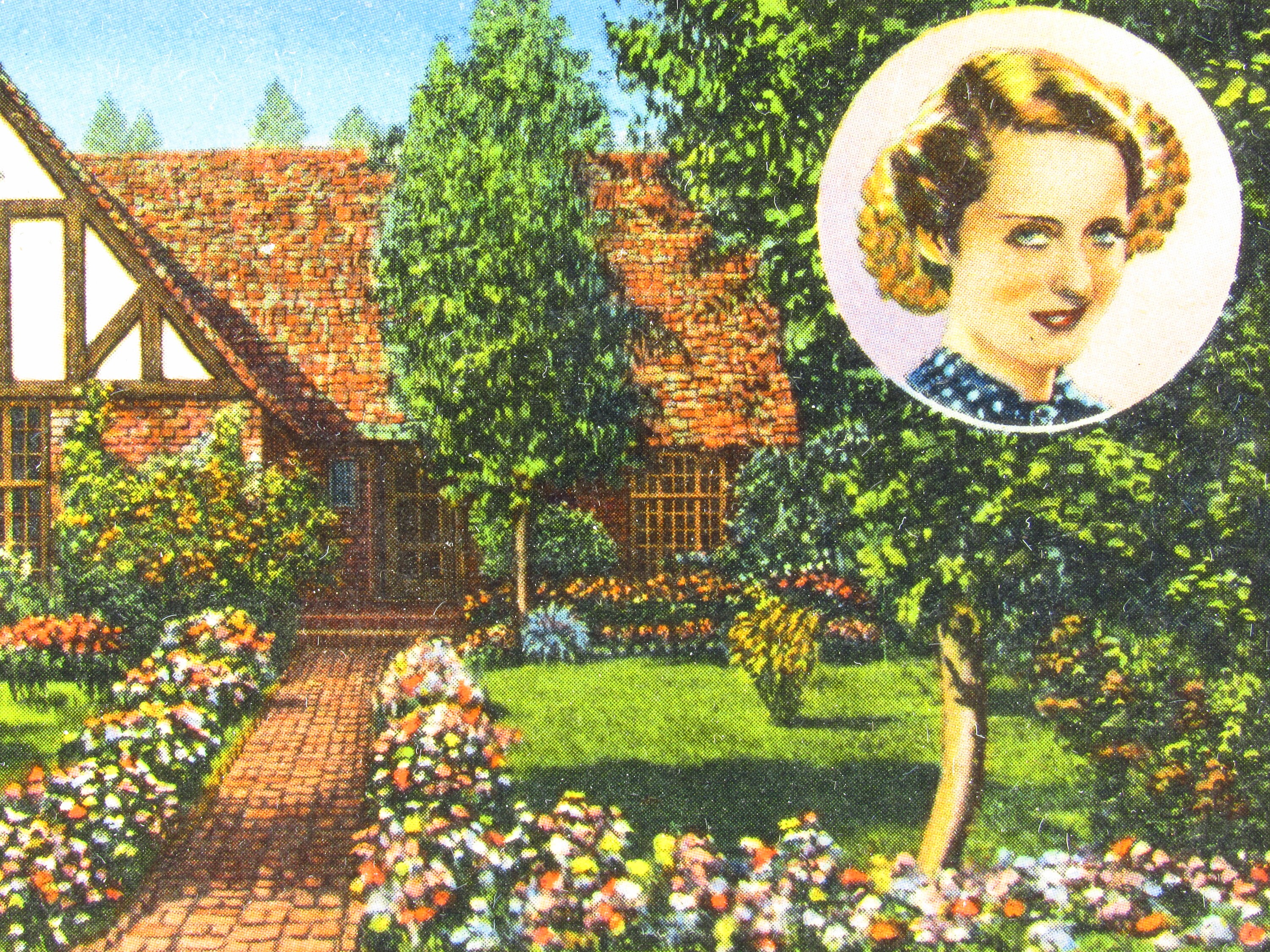 Bette Daviss 15 Million Maine Coastal Home A Hollywood Legends Legacy - vfj8304