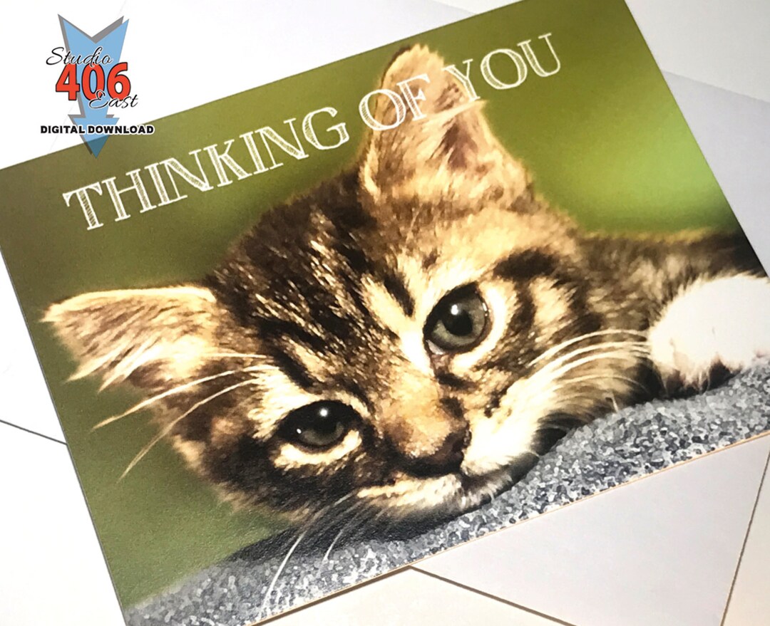 Card Cute Thinking of You Cat Card Digital Download Etsy
