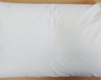 Organic Buckwheat Filled Pillow