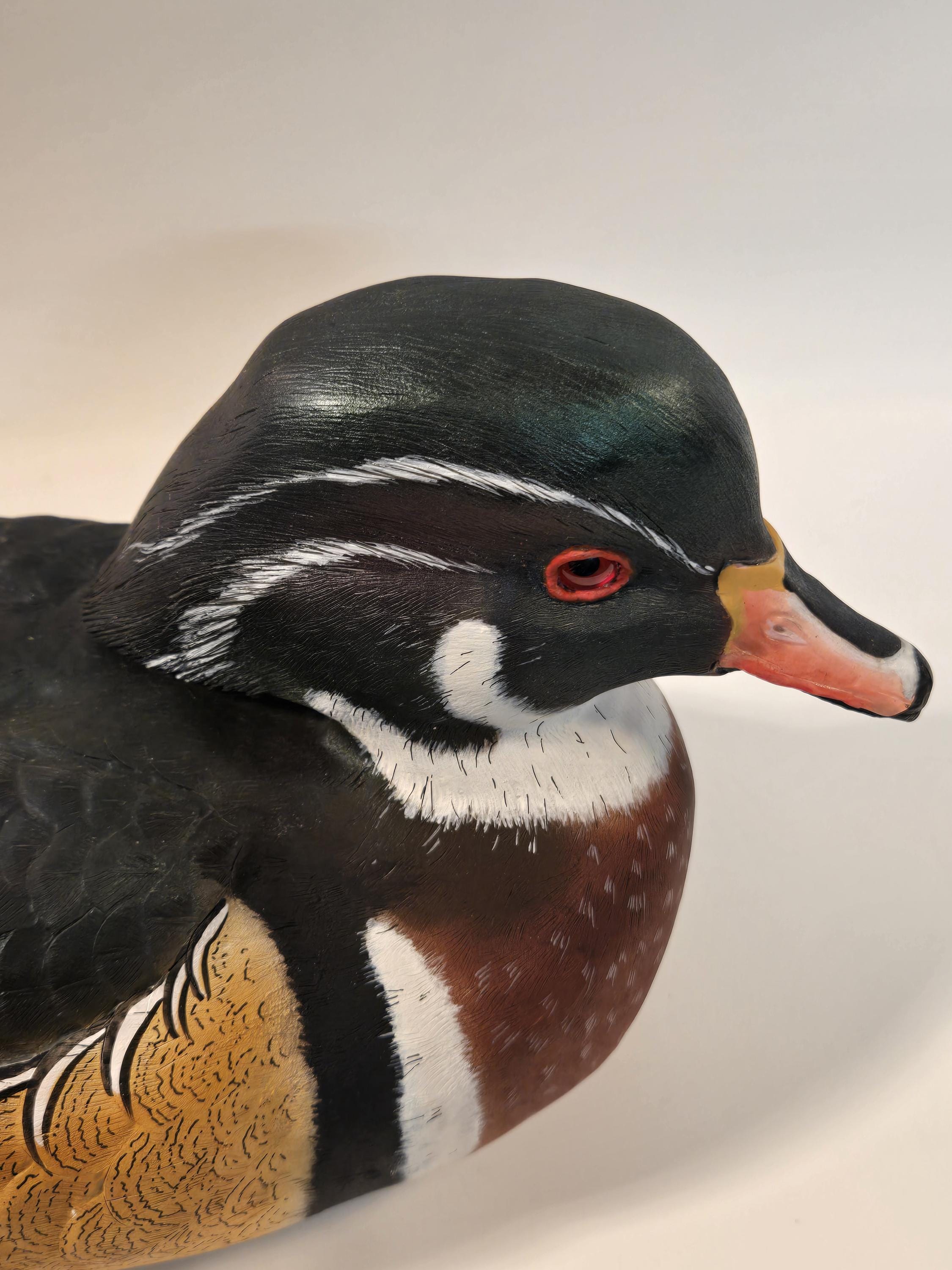Drake Wood Duck - Etsy