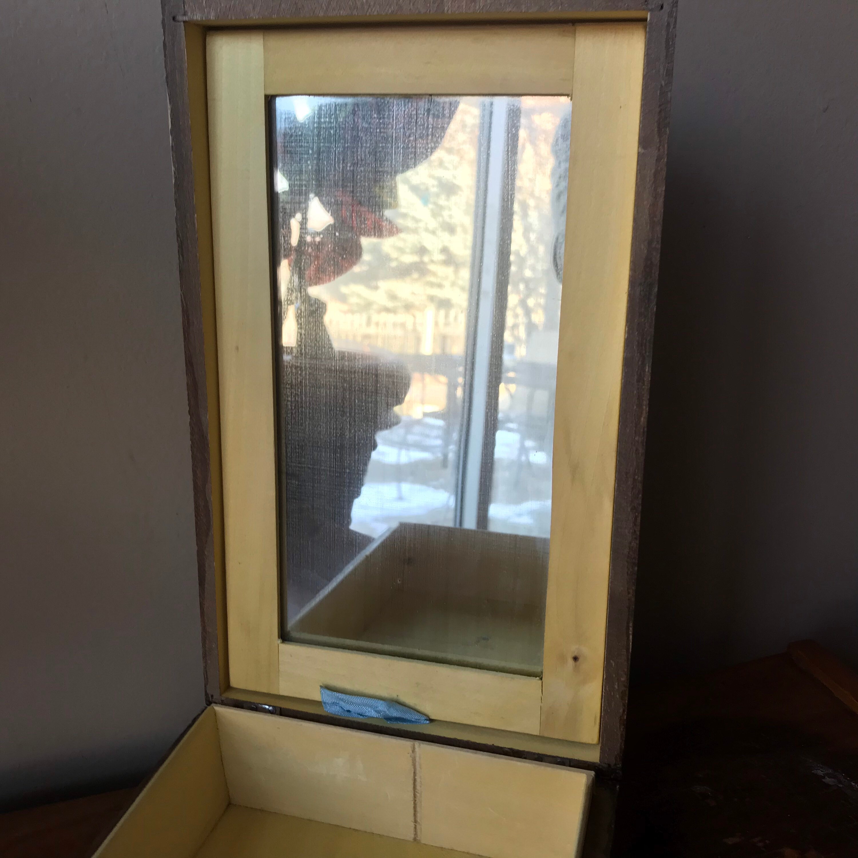 Hand Carved Wooden Vanity Box Alpine Themed Swiss Alps Etsy