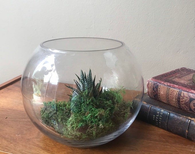 Vintage Glass Terrarium, Clear Glass Fishbowl, Punch Bowl, Large