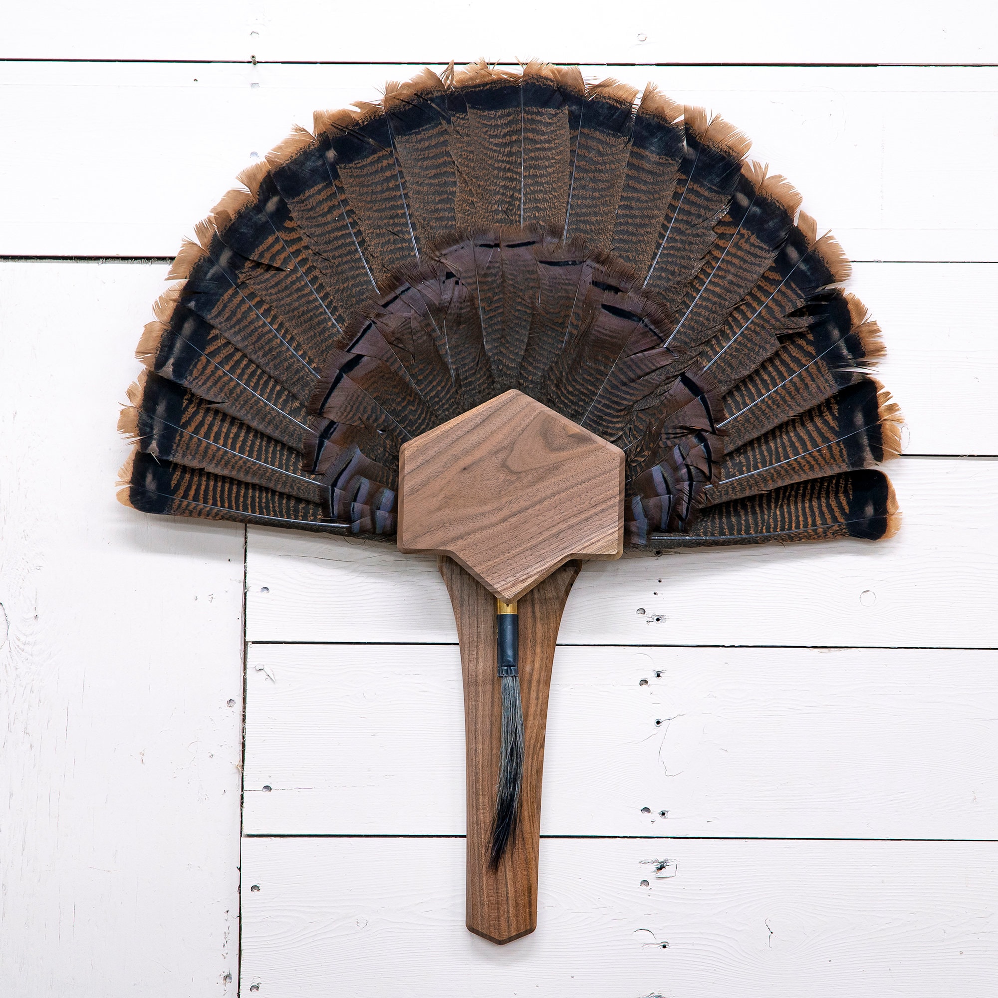 template for diy turkey mount - fan and beard plaque - etsy.de