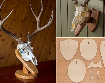 Template For DIY European Mount Deer Skull Plaque