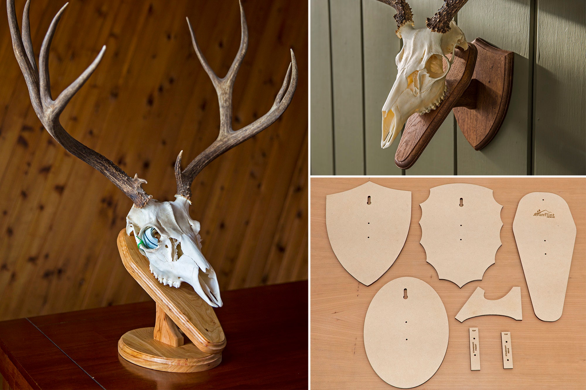 Template for DIY European Mount Deer Skull Plaque Etsy Template for DIY European Mount Deer Skull Plaque Etsy