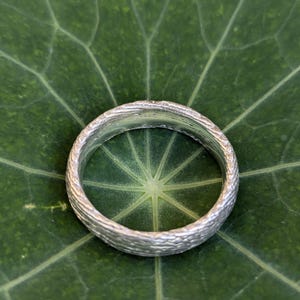 Puede incluir: Un anillo de plata con una superficie texturizada. El anillo está sobre una hoja verde.