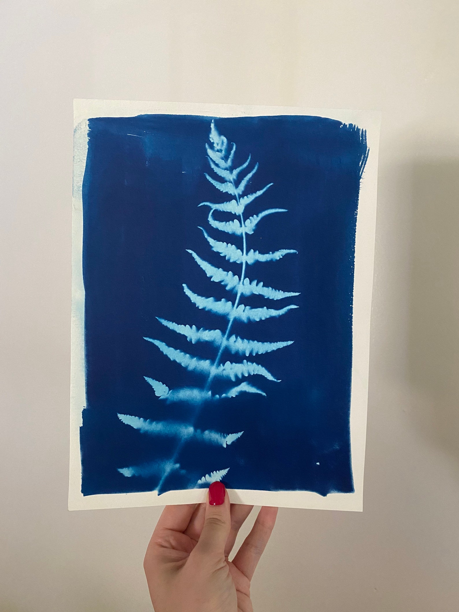 Original Art Plant Print Botanical Art Print Cyanotype Etsy