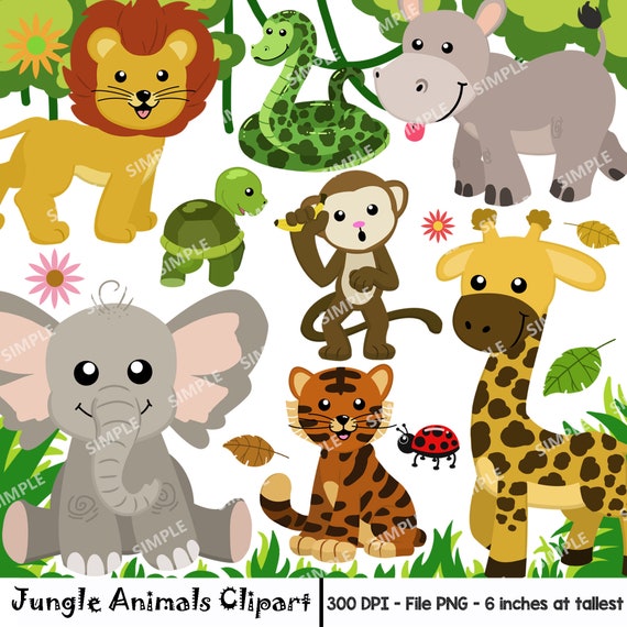 jungle animal clipart watercolor safari animals clipart etsy