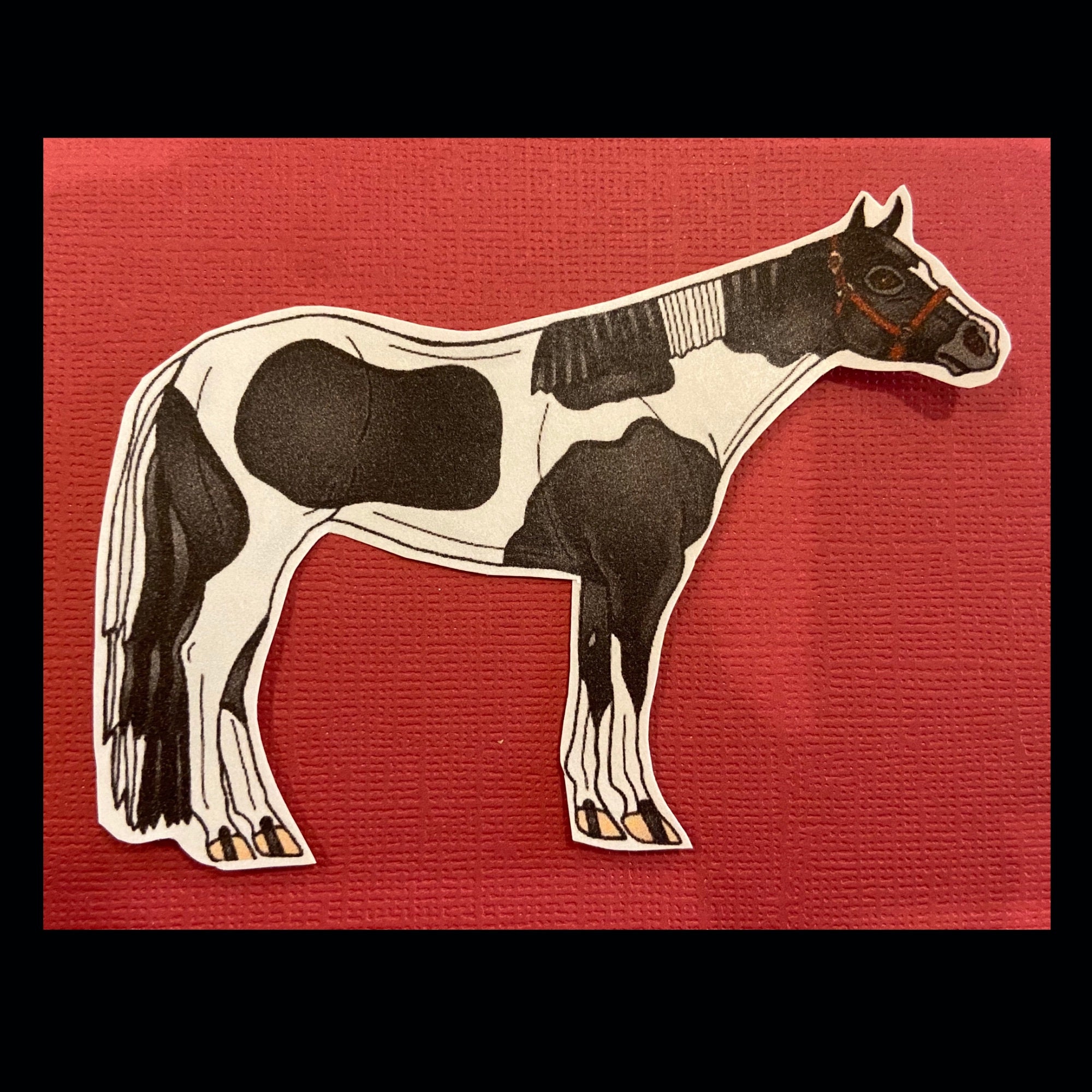 Horse Stickers Stock horse breeds stickers for journals Etsy
