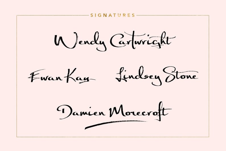 Brush font Signature font Significant font Brush Script Font Calligraphy font Wedding font - use it for a photography logo Monogram