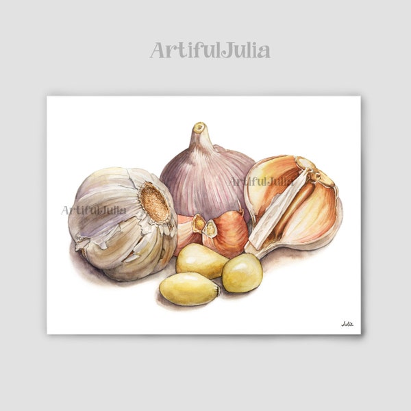 Garlic Art Print Vegetable Art Watercolor Garlic Painting Kitchen Art Vegetable Watercolor painting Kitchen Wall Decor