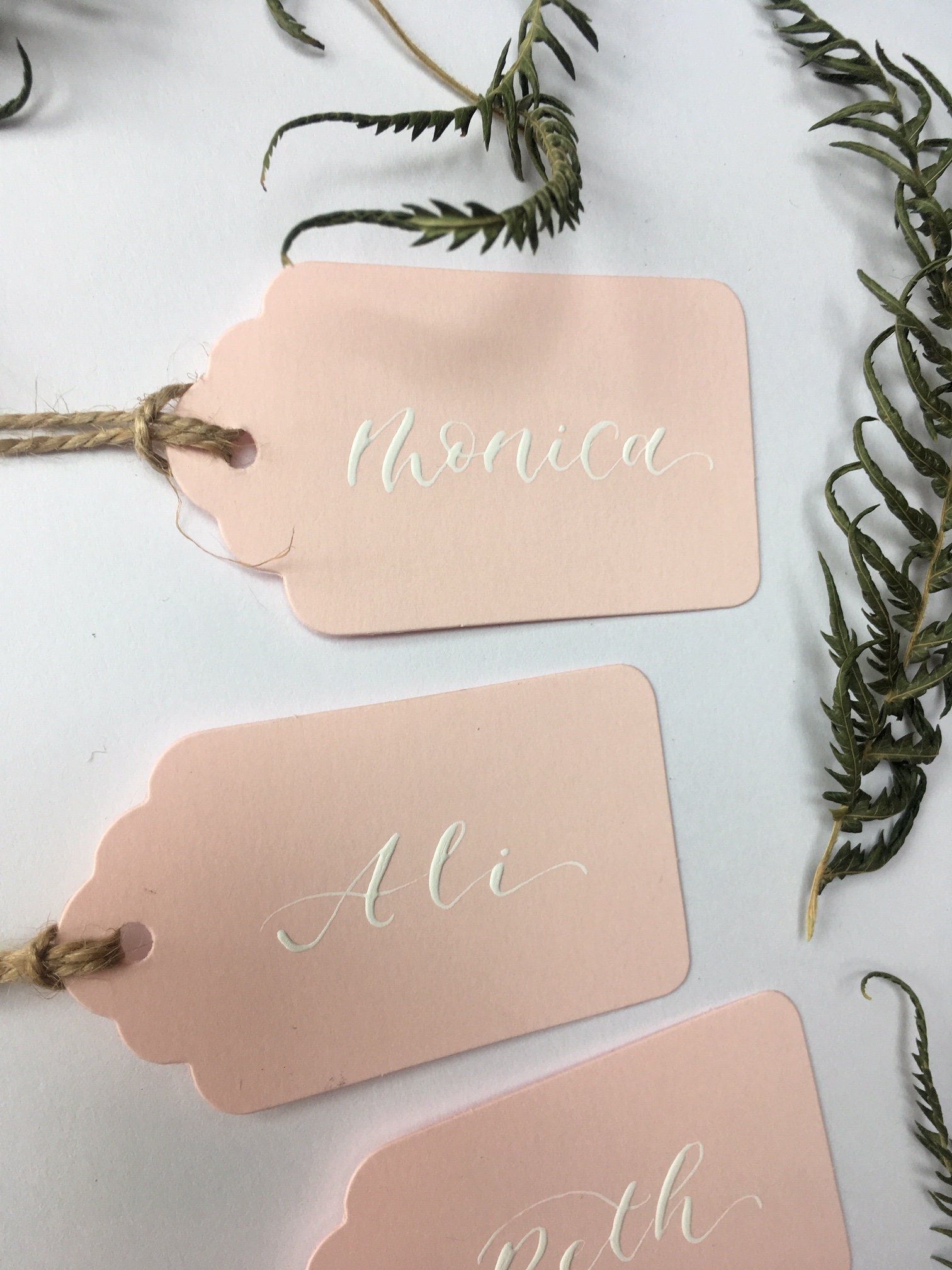 Name Place Cards Blush Pink Place Cards Mini Pink Luggage Etsy UK