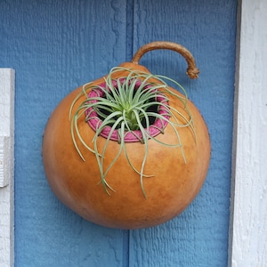 gourd basket for hanging on wall