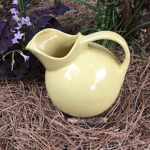 Chefsware ball jug or ball pitcher magically untippable