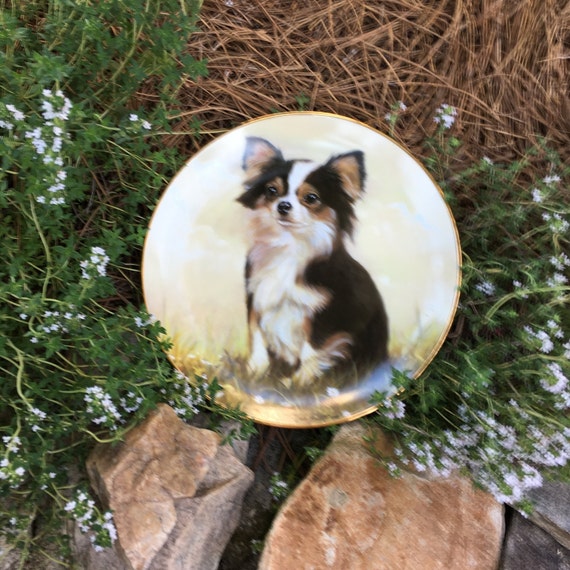Long Haired Chihuahua Plate By John Silver From Danbury Mint Etsy