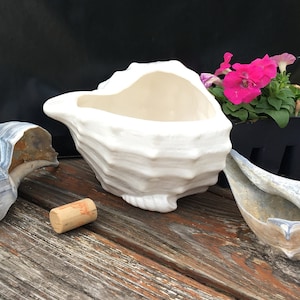 Planter shaped like a shell white ceramic