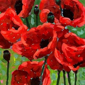 Red Poppies Note Cards, Blank card, Art Cards, florals, from Original Paintings