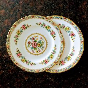 Ming Rose English Bone China Plates/COALPORT Set of 2 Floral Replacement Sandwich Plates/Bone China Plates/Collectors Porcelain Plate/No.198