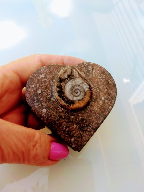 Ancient  Fossil Brown Stone Hand Made Heart Shape 