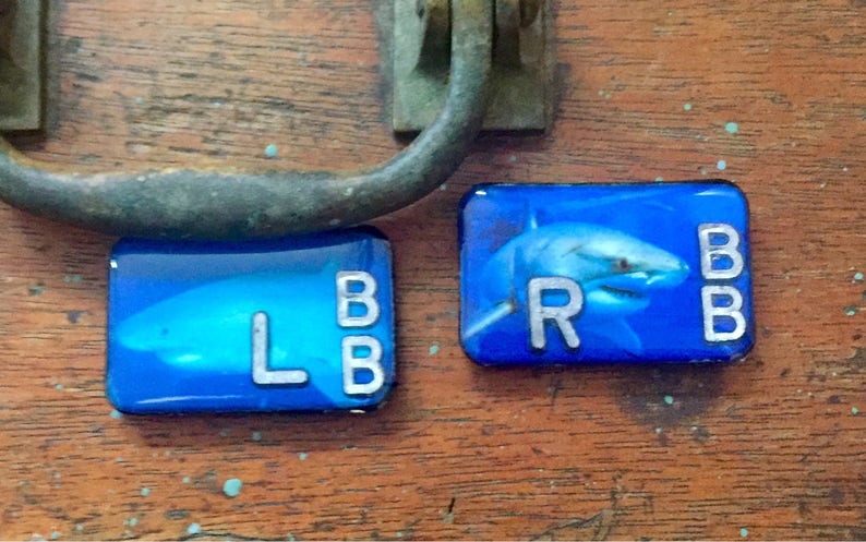 Custom Photograph X-ray Markers