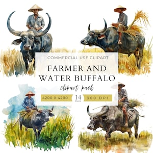 Peut inclure: Ensemble de 14 images clipart aquarelle représentant des agriculteurs à dos de buffles d'eau. Les images sont sur fond d'herbe verte et de rizières jaunes. Les agriculteurs portent des chapeaux coniques traditionnels et les buffles sont bruns et noirs.