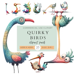 Quirky Birds Clip Art Pack, Bird Stickers, Whimsical, Funny Birds, Commercial Use, PNG Cliparts, Crazy Animals, Invitation, Crafts