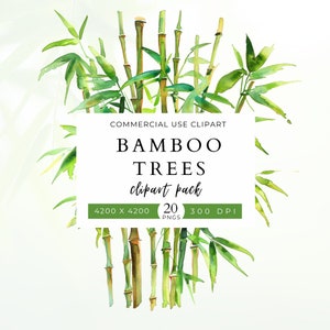 Pacote com 20 Clip Art de Árvores de Bambu, Uso Comercial, Tema Tropical, Natureza, Zen, Spa, Gráficos de Bambu, Impressões de Parede, Convites, Arte de Borda