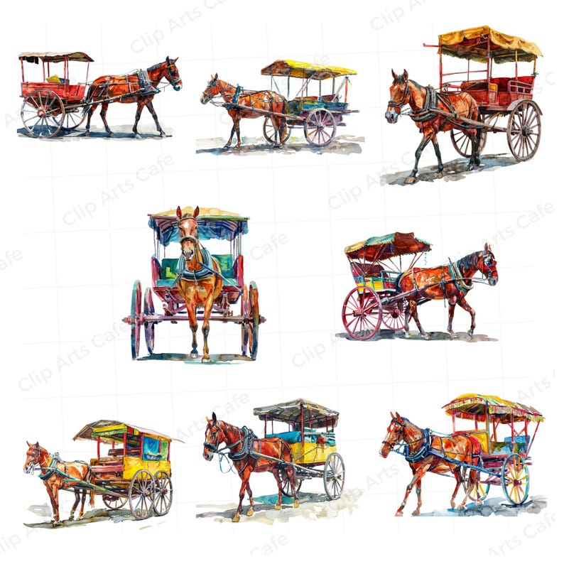 Horse-drawn Carriages 