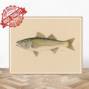 Striped Bass Fish Print, Vintage Fishing Poster Wall Art Decor, Rockfish Gift For Dad, Man, Fisherman Fishing gifts Fish artwork