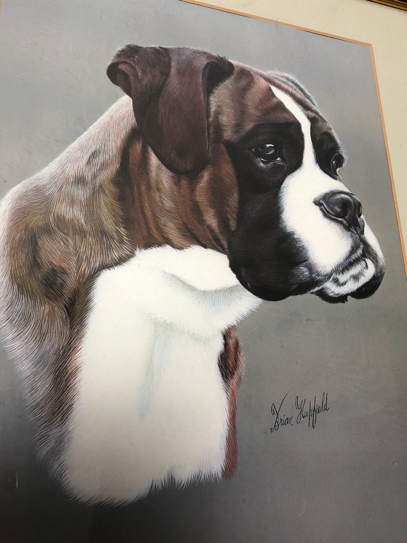 Vintage boxer Dog print Brian hupfield Brown and Gold Framed Etsy