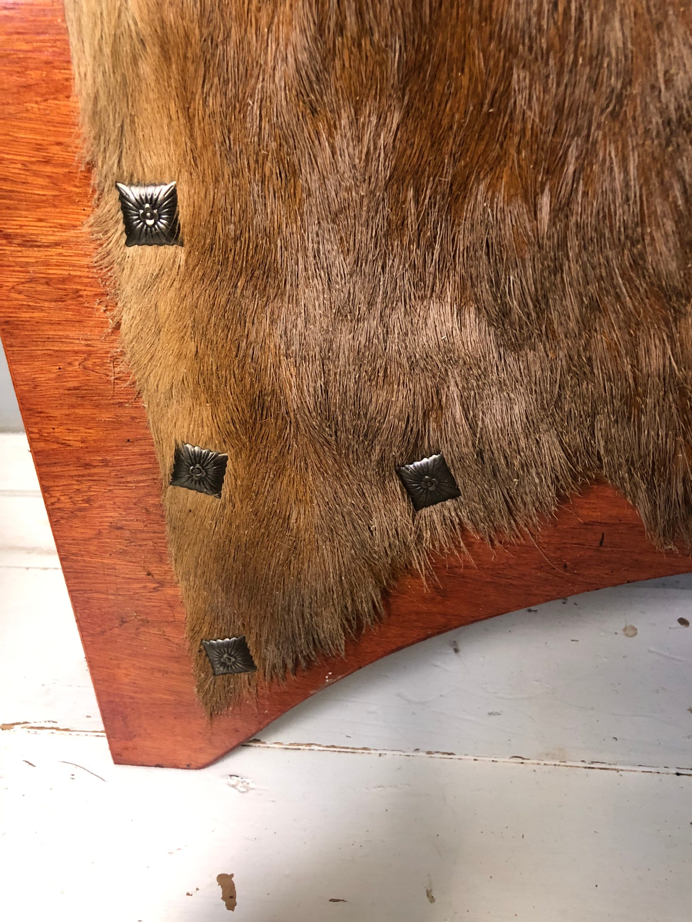 Deer Hide Skin Large Wall Hanging Feature Plaque Hunting Etsy UK