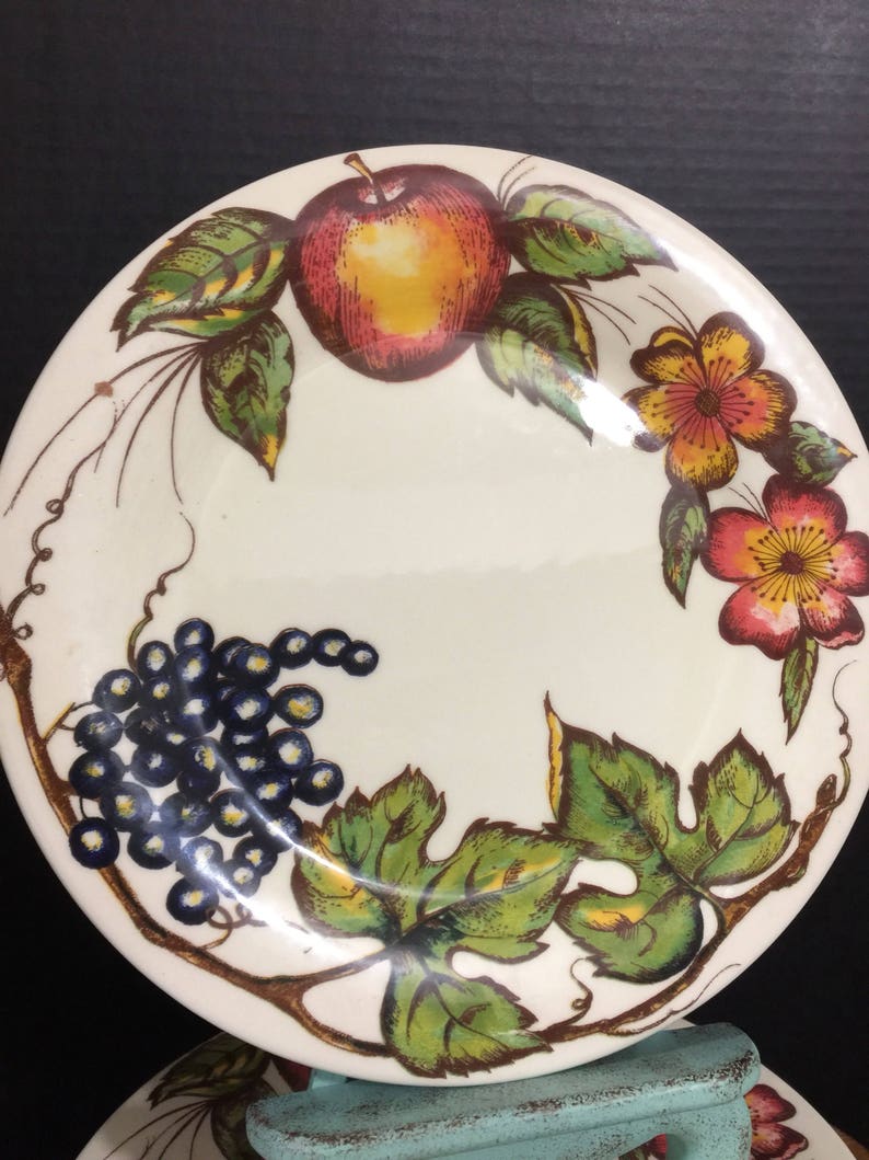 Vintage Pier 1 New Harvest Pier One dinner plates made in Etsy