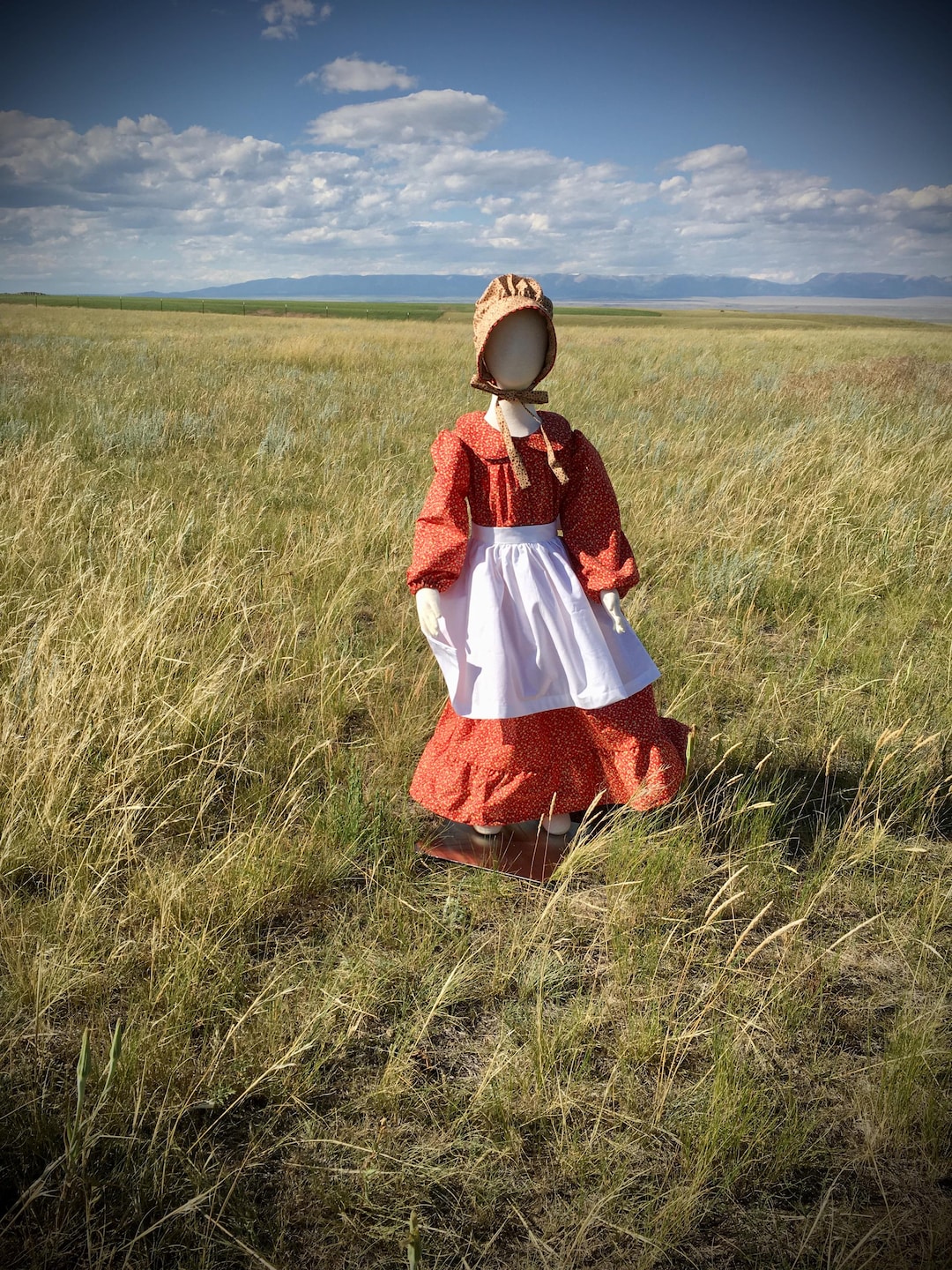 Dress Robe Petite Maison Dans La Prairie Robe Pionnière Pour Fille