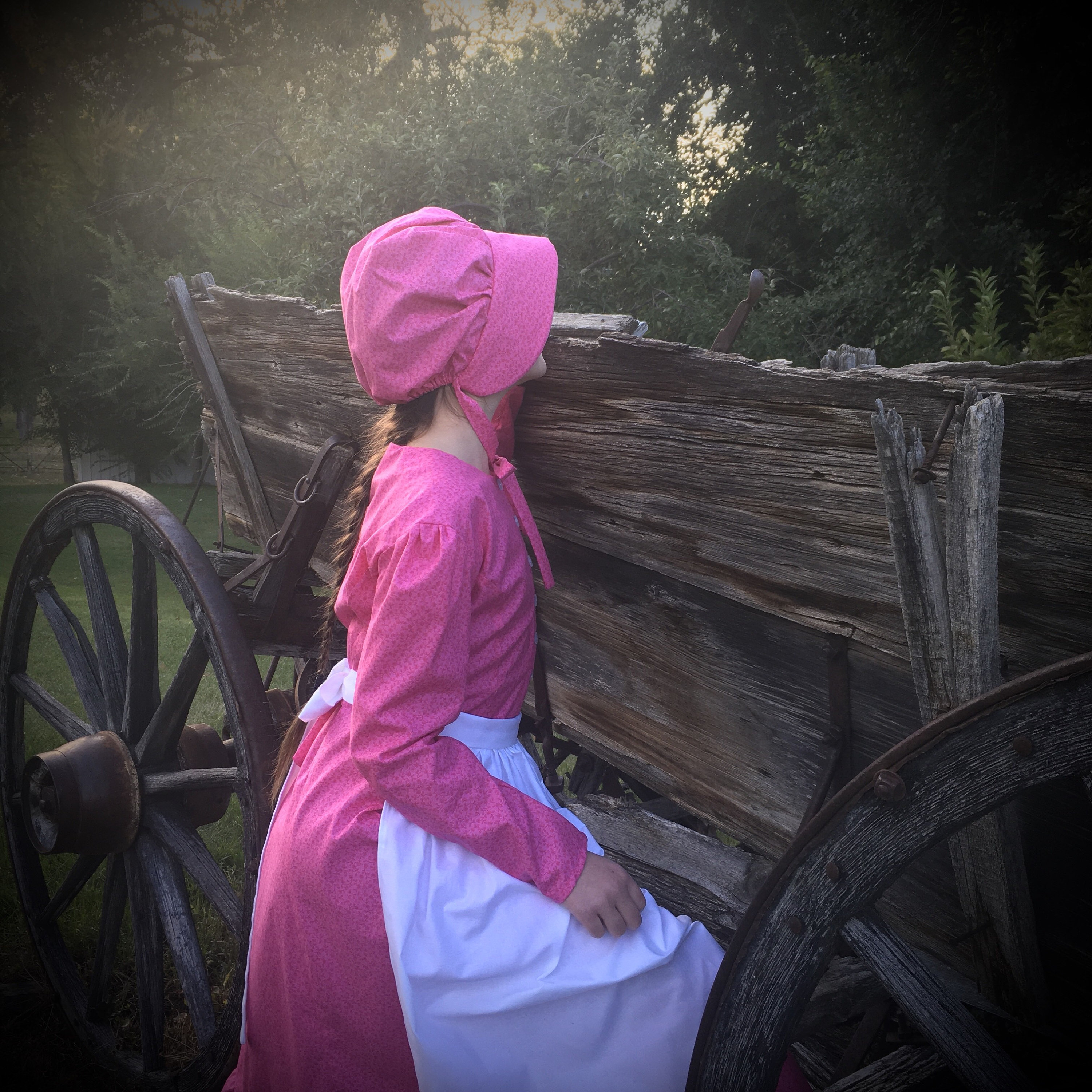 Laura Ingalls Wilder Bonnet - Etsy display picture 2
