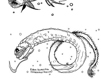 Digital Ocean Life Coloring Pages Set 7 Deep Sea Dwellers