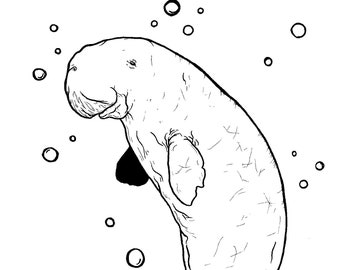 Digital Ocean Life Coloring Pages Set 4 Whales & Mammals