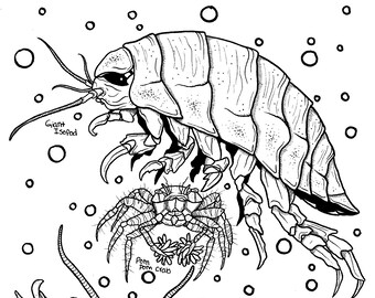 Digital Ocean Life Coloring Pages Set 6 Various Creatures