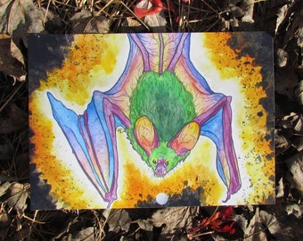 California Leaf Nosed Bat PRINT