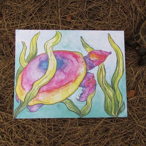 May include: A watercolor painting of a colorful turtle swimming in a bed of green seaweed. The turtle is pink, yellow, and blue with a speckled shell. The seaweed is green with a light blue background.