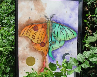 Luna & Comet Moth FRAMED ORIGINAL