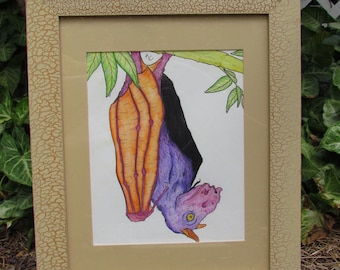Hammer Headed Bat FRAMED ORIGINAL