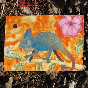 Verschleiertes Chameleon & Damselfly PRINT