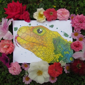 Caïman Lézard IMPRIMER