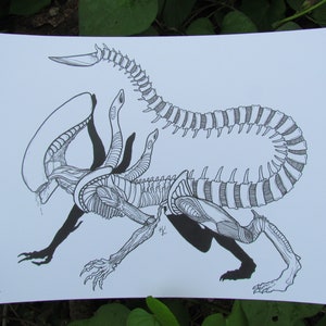Xenomorph, PRINT