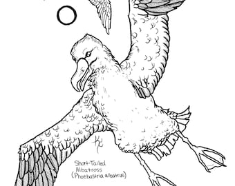 Digital Ocean Life Coloring Pages Set 1 Surface Dwellers