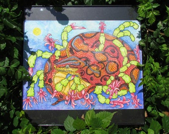 Brazilian Rainbow Boa & Christmas Cactus FRAMED ORIGINAL