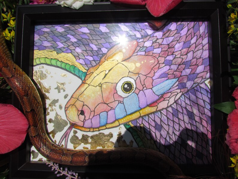 Rat Snake ORIGINAL