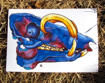 Babirusa Skull, PRINT