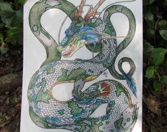 Pied Shenron PRINT
