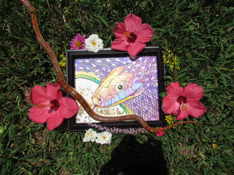 Rat Snake ORIGINAL